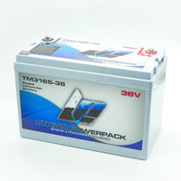 TM3165-36 36V 65Ah BlueTooth Lithium Ion Trolling Battery