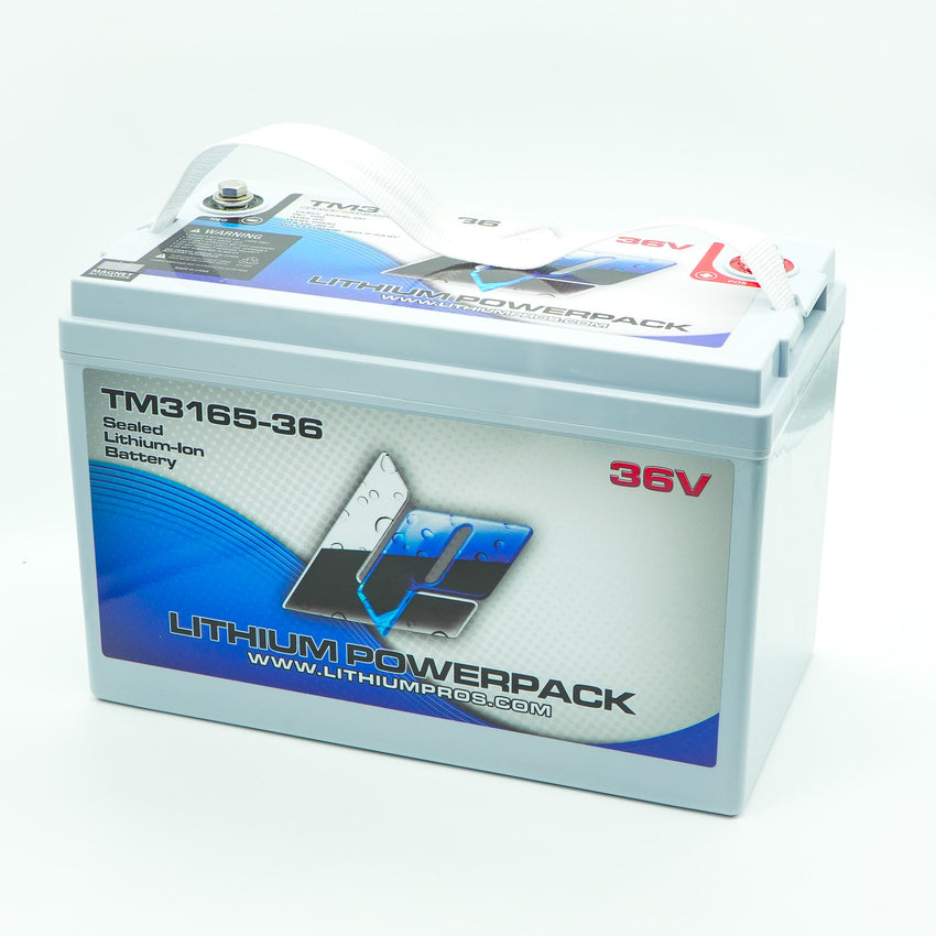 TM3165-36 36V 65Ah BlueTooth Lithium Ion Trolling Battery