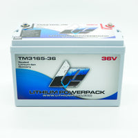 TM3165-36 36V 65Ah BlueTooth Lithium Ion Trolling Battery