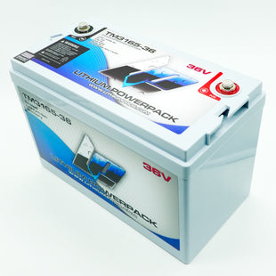 TM3165-36 36V 65Ah BlueTooth Lithium Ion Trolling Battery