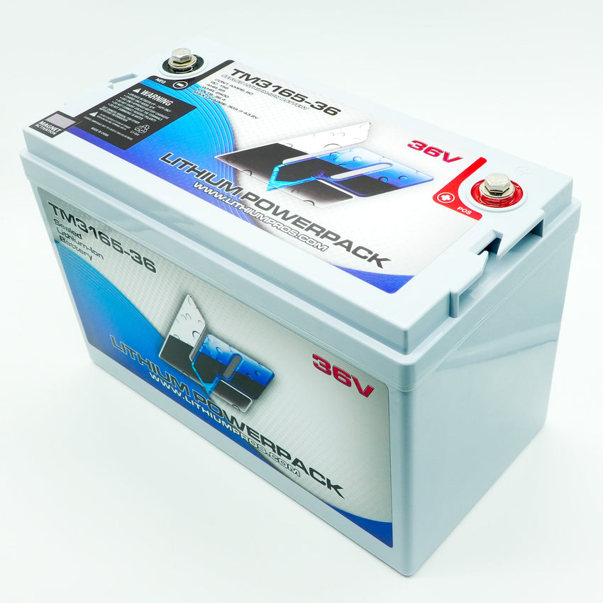 TM3165-36 36V 65Ah BlueTooth Lithium Ion Trolling Battery