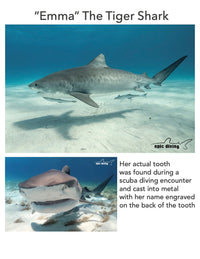 Shark Tooth Necklace – “Emma” Tiger Shark - Pewter on Cord