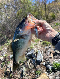 Submission Jigs - Micro Mercenary - Slow Pitch Jigs - 4 Packs