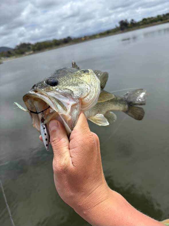 Submission Jigs - Micro Mercenary - Slow Pitch Jigs - 4 Packs