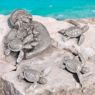 Baby Sea Turtle Magnet Set –  Home Decor - Pewter