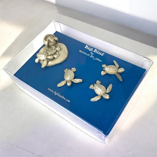 Baby Sea Turtle Magnet Set –  Home Decor - Pewter