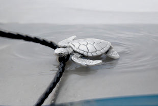 Sea Turtle Necklace- Sealife Collection - Pewter on Cord