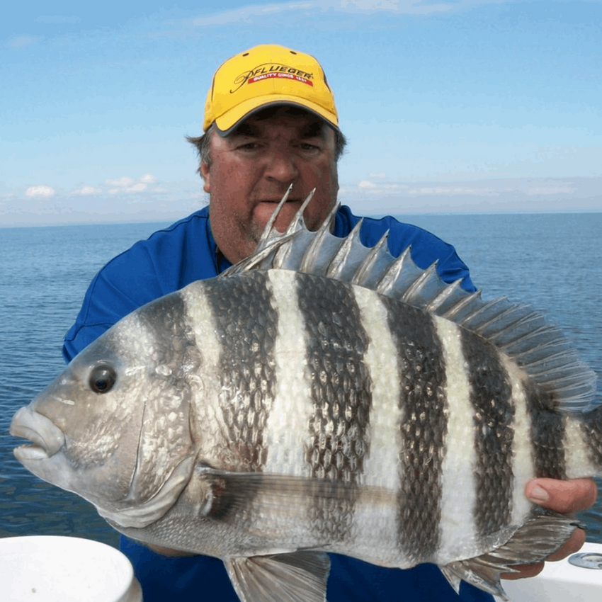 Jacksonville Fishing Spots - Nearshore numbers
