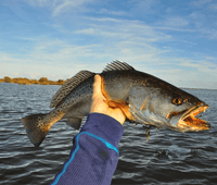 St Augustine Fishing Spots - Nearshore Numbers