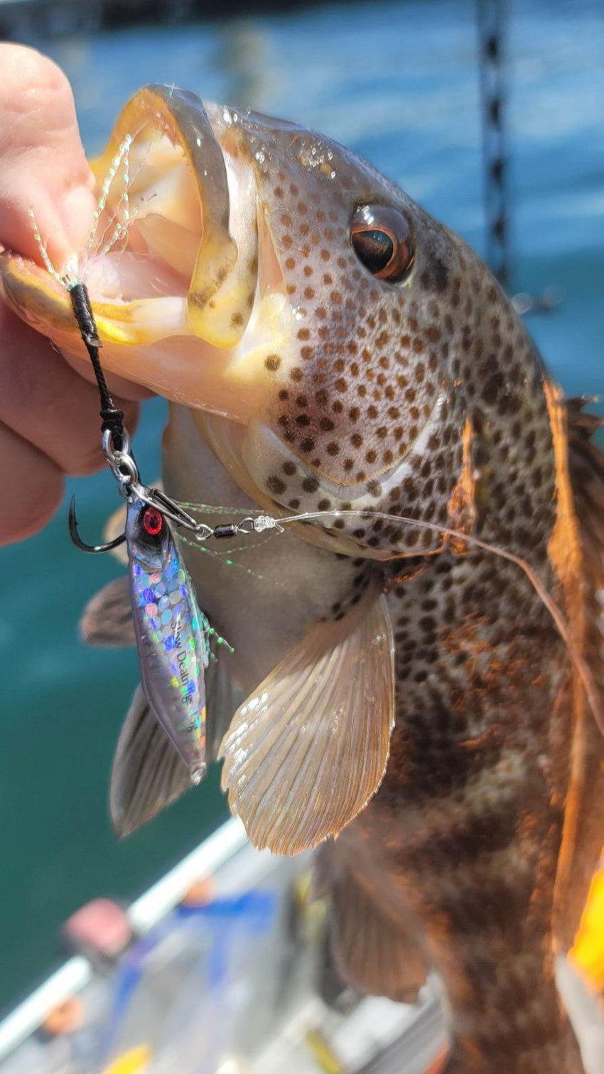 Submission Jigs - Micro Mercenary - Slow Pitch Jigs - 4 Packs