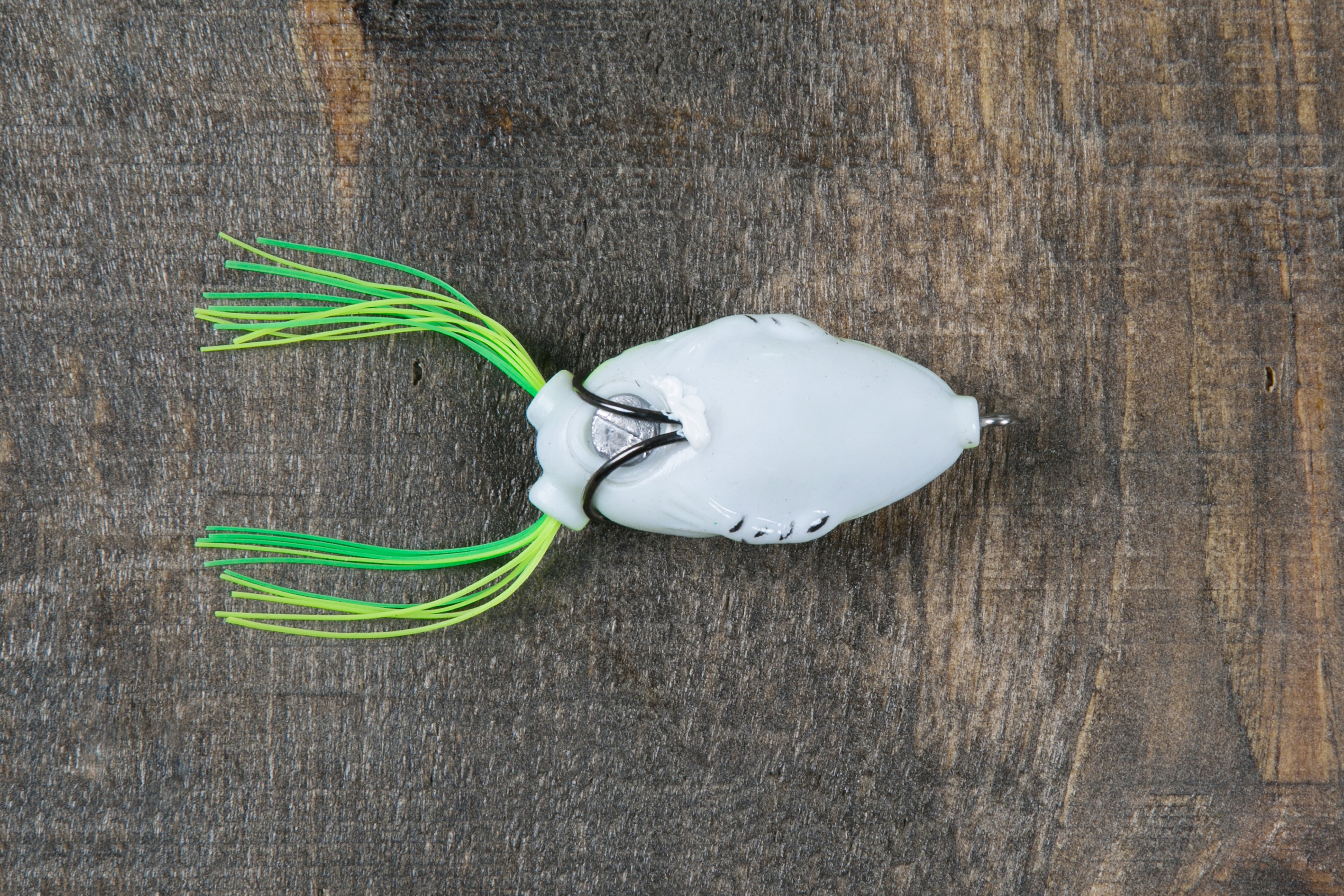 frog-fish-bait