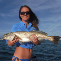Venice Fishing Spots - Nearshore Numbers